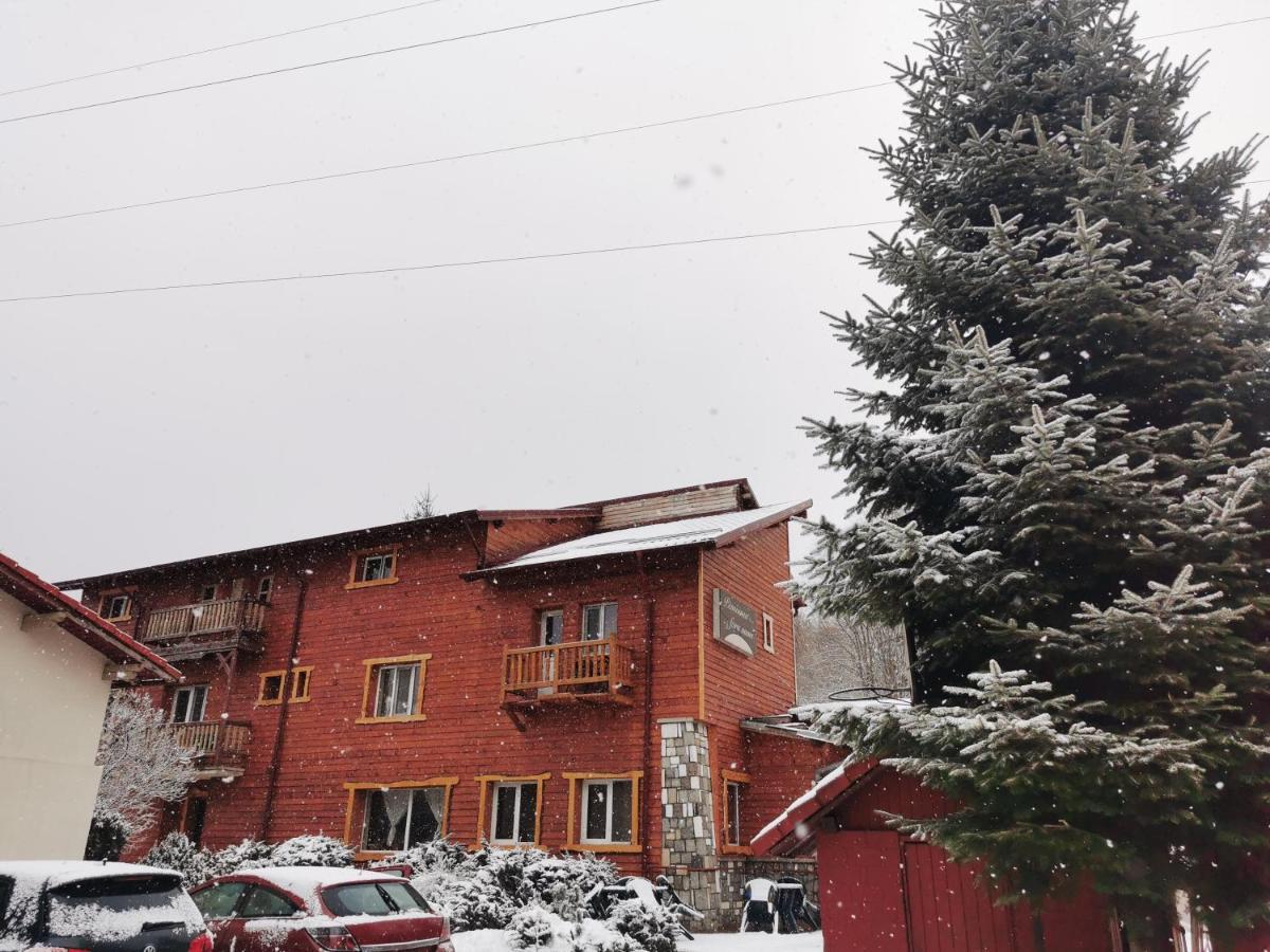 Pensiunea Fara Nume Buşteni Zewnętrze zdjęcie